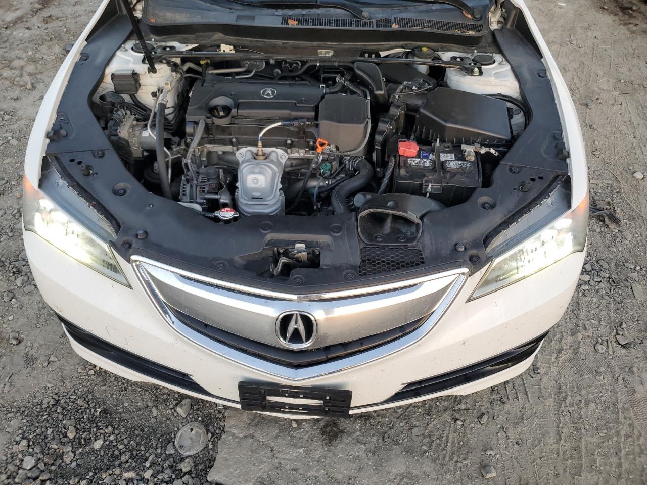 2016 Acura Tlx VIN: 19UUB1F37GA009142 Lot: 84776515