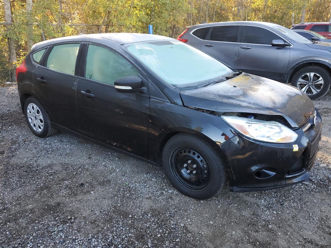 2013 Ford Focus Se VIN: 1FADP3K20DL273401 Lot: 85873895