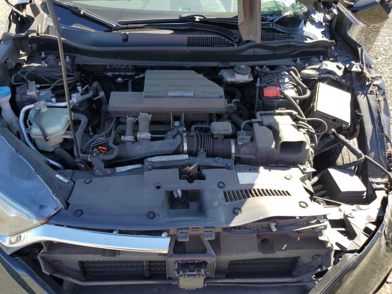 2019 Honda Cr-V Ex VIN: 7FARW2H52KE035231 Lot: 81863315