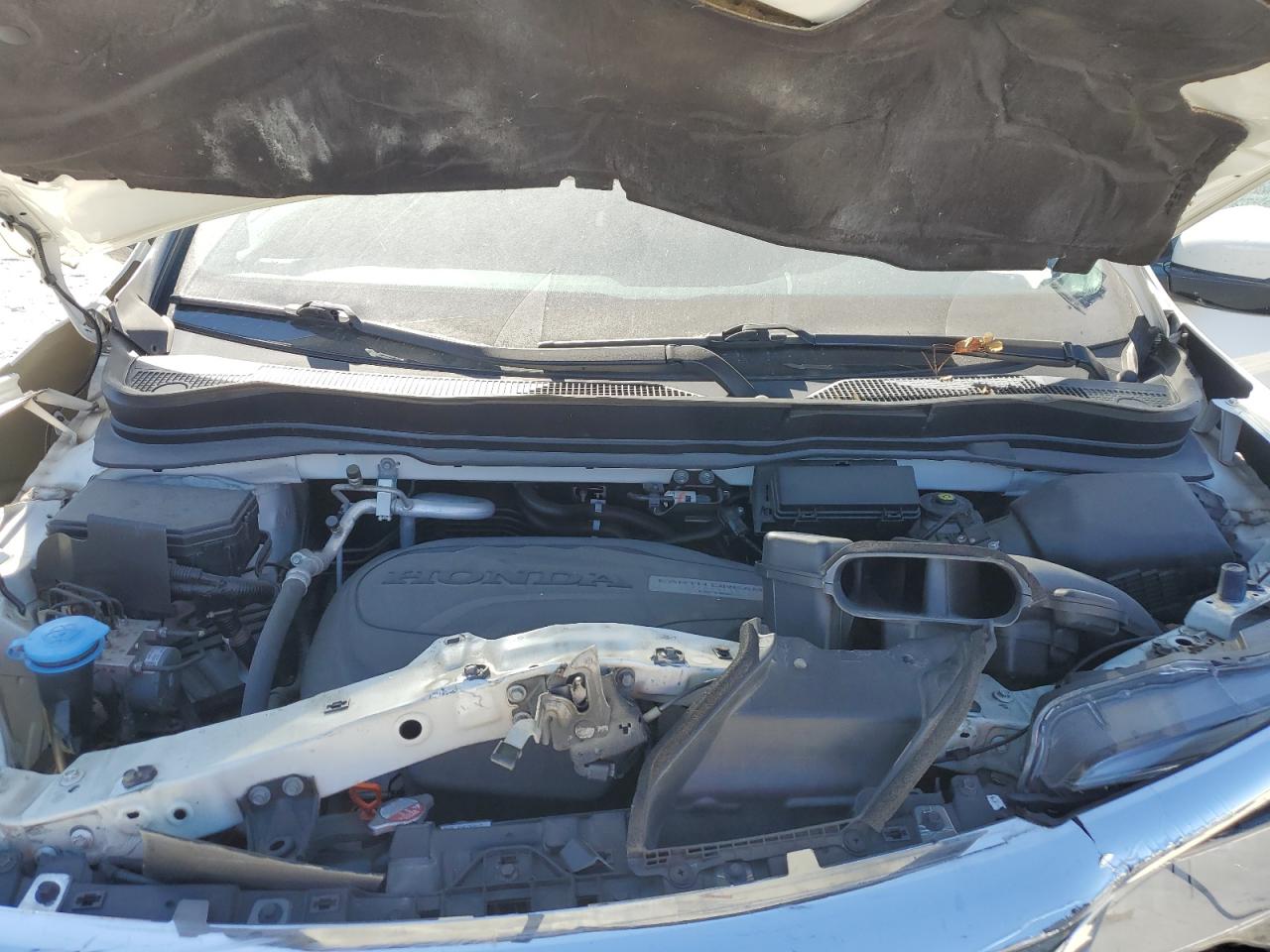 2019 Honda Pilot Elite VIN: 5FNYF6H00KB042293 Lot: 81980885