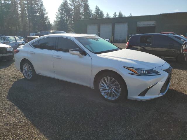  LEXUS ES300 2019 Белы