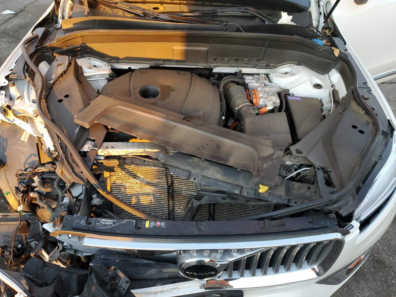 2021 Volvo Xc90 T8 Recharge Inscription Express VIN: YV4BR0CK9M1746620 Lot: 81943095