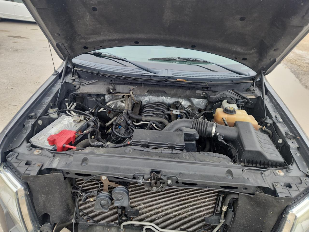 2012 Ford F150 Supercrew VIN: 1FTFW1EF1CKD26331 Lot: 82568925