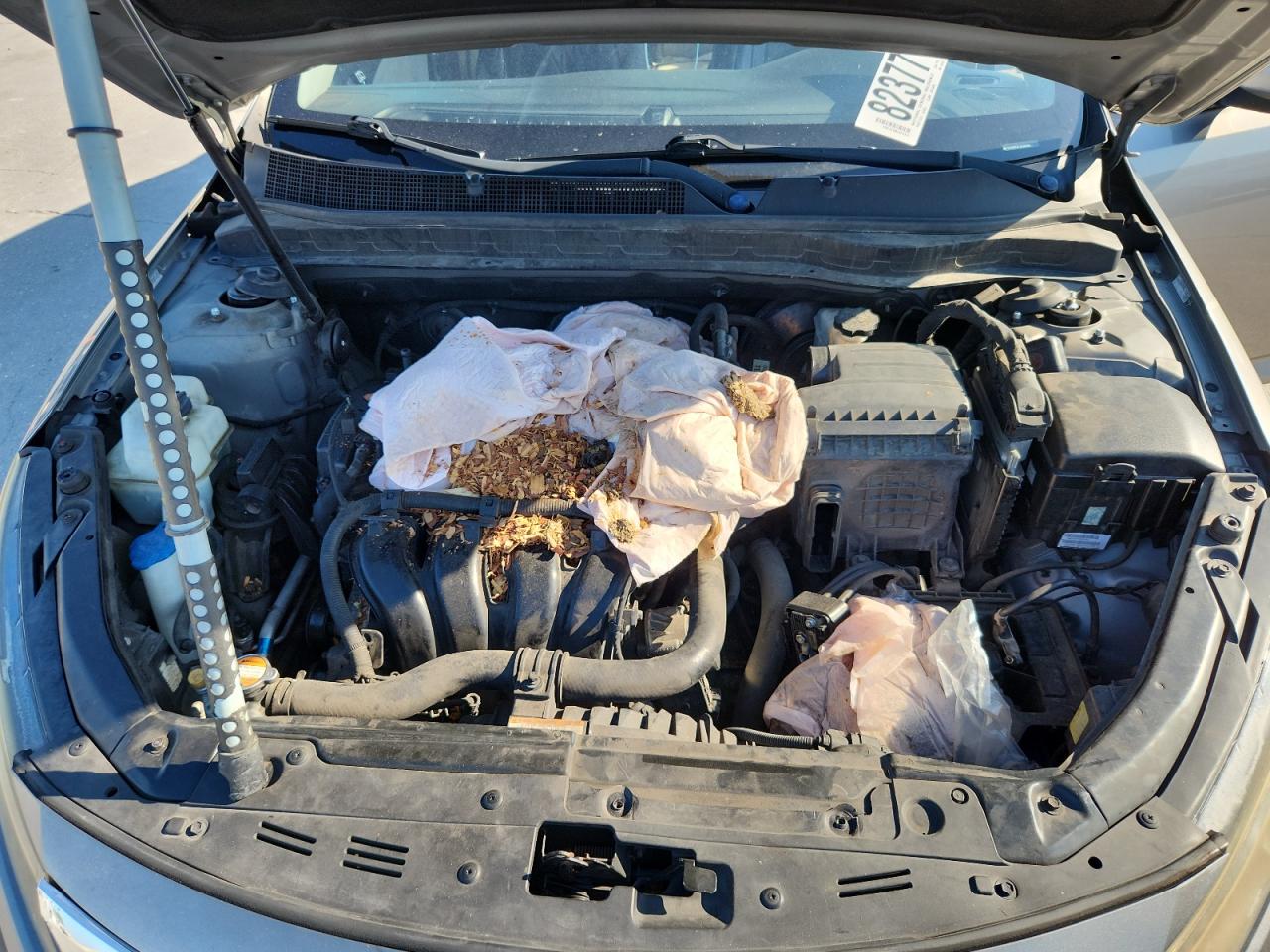 2012 Kia Optima Ex VIN: 5XXGN4A72CG029392 Lot: 82377105