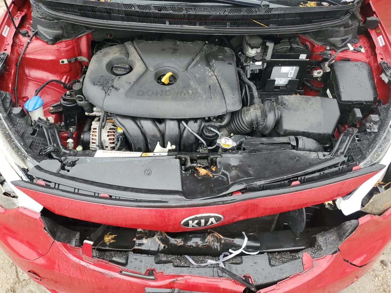 2014 Kia Forte Lx VIN: KNAFX4A66E5184402 Lot: 87306135