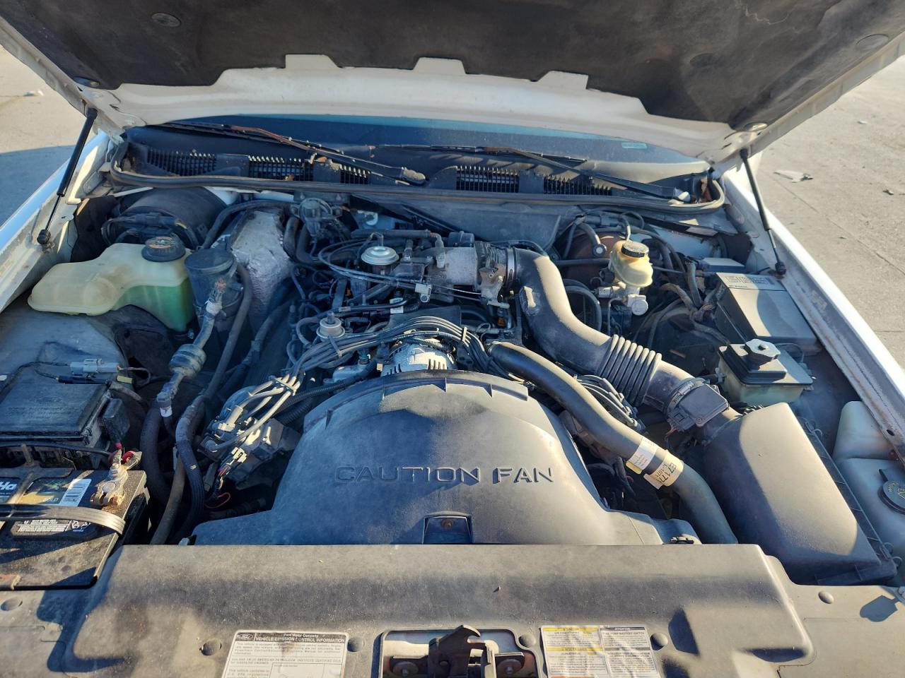 1997 Mercury Grand Marq VIN: 2MELM74W6VX700010 Lot: 82351545