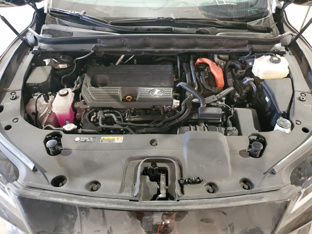 2024 Lexus Rx 350H Base VIN: 2T2BBMCA2RC062206 Lot: 85175005