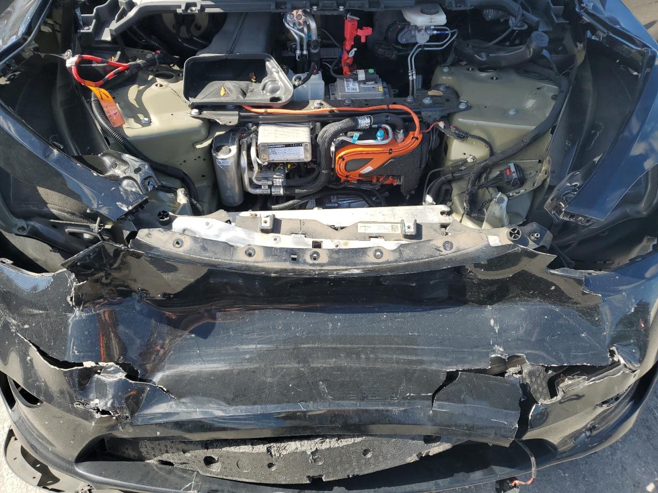 2023 Tesla Model Y VIN: 7SAYGDEE5PA118955 Lot: 89632625