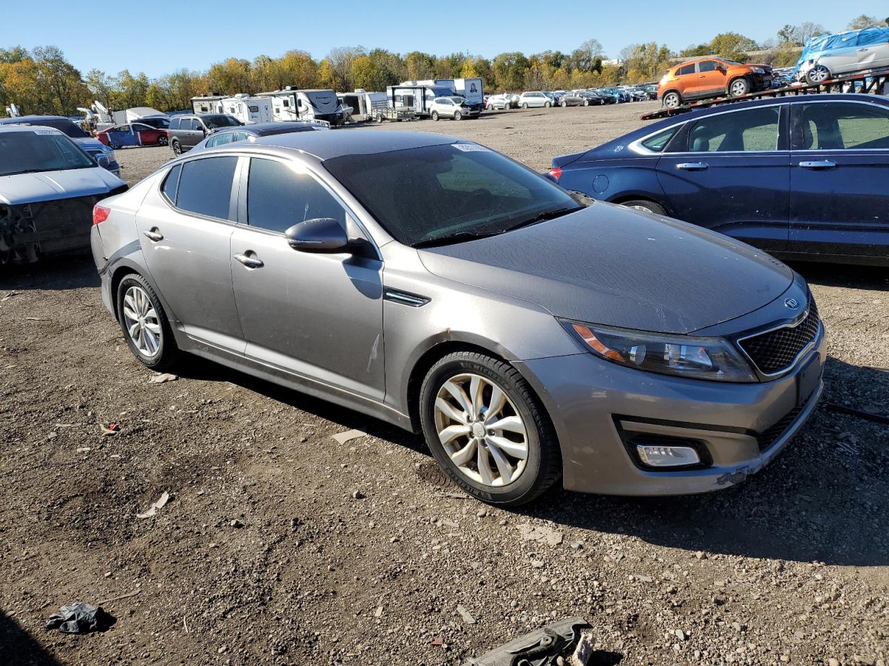 Optima Optima