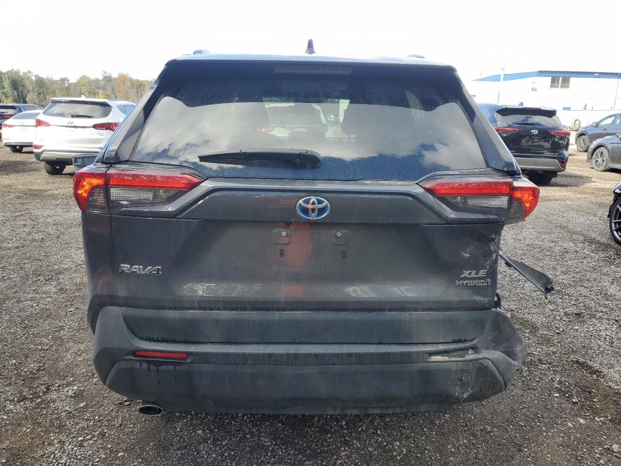 2024 Toyota Rav4 Xle VIN: 2T3RWRFV3RW234588 Lot: 85847325