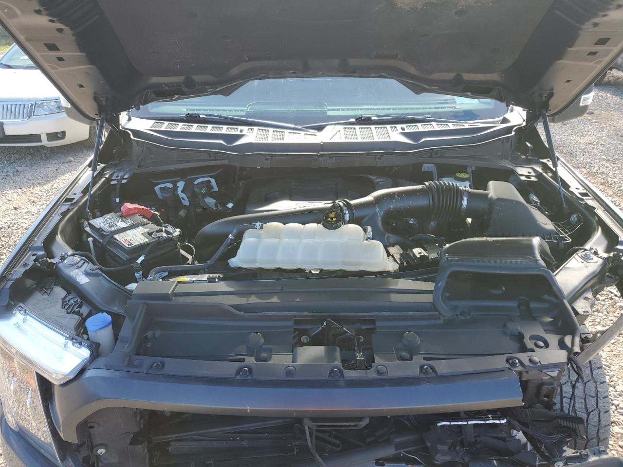 2021 Ford F150 Supercrew VIN: 1FTFW1E84MFA23622 Lot: 82298005