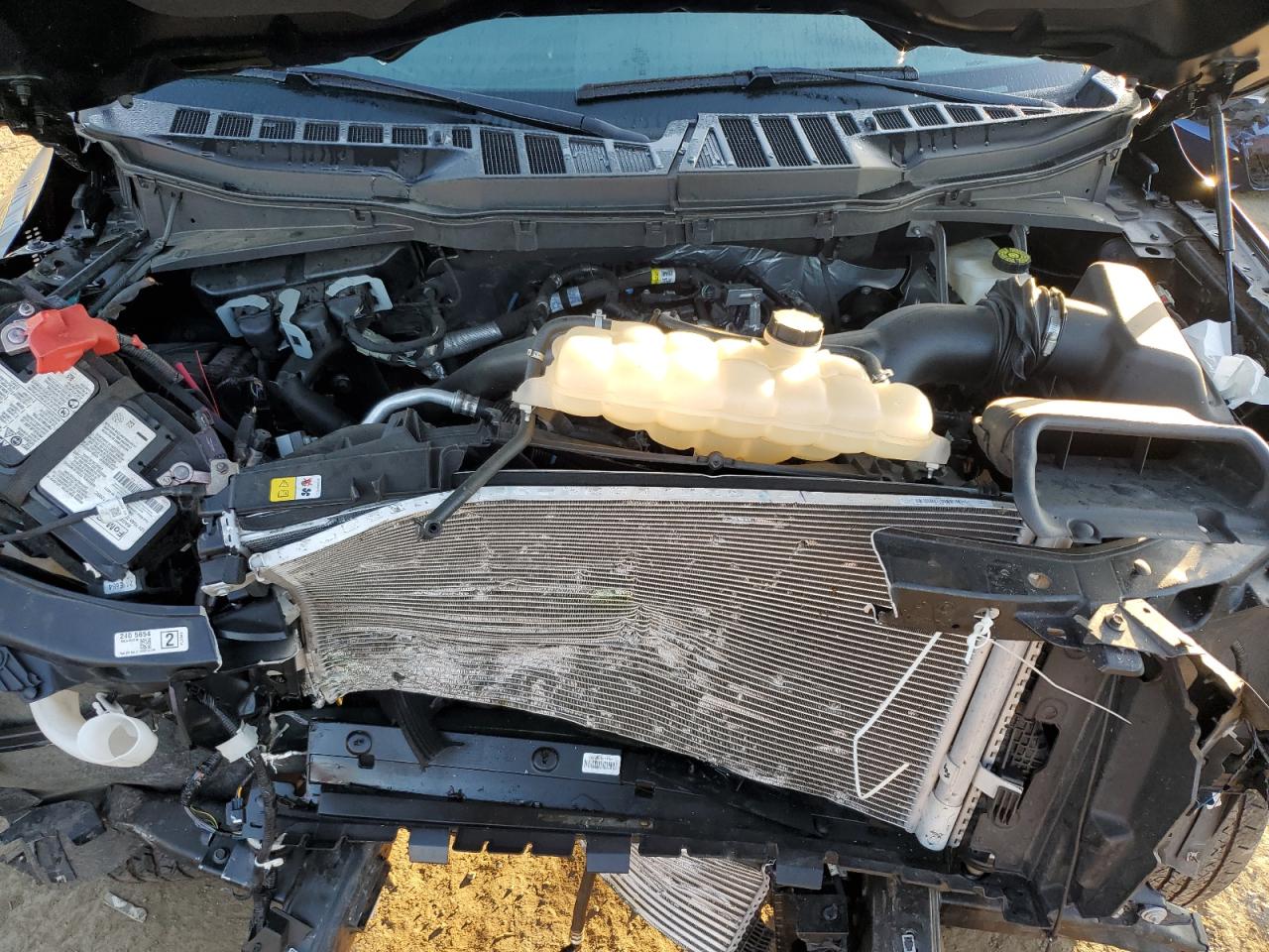 2023 Ford F150 Supercrew VIN: 1FTEW1EP8PKF25905 Lot: 82186815