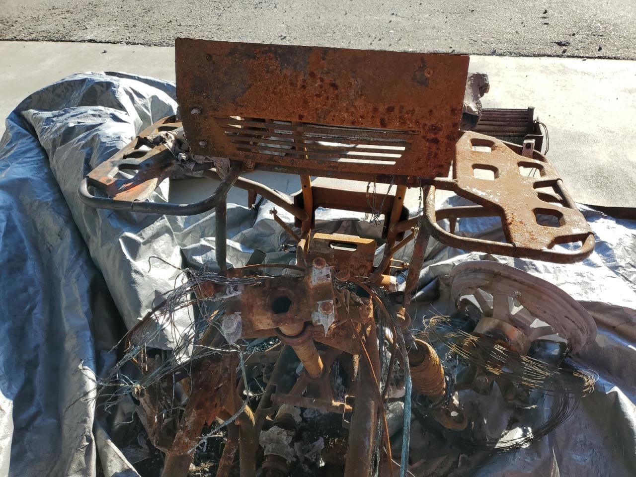 2024 Honda Trx420 Fm VIN: 1HFTE4001RJ001760 Lot: 84874135