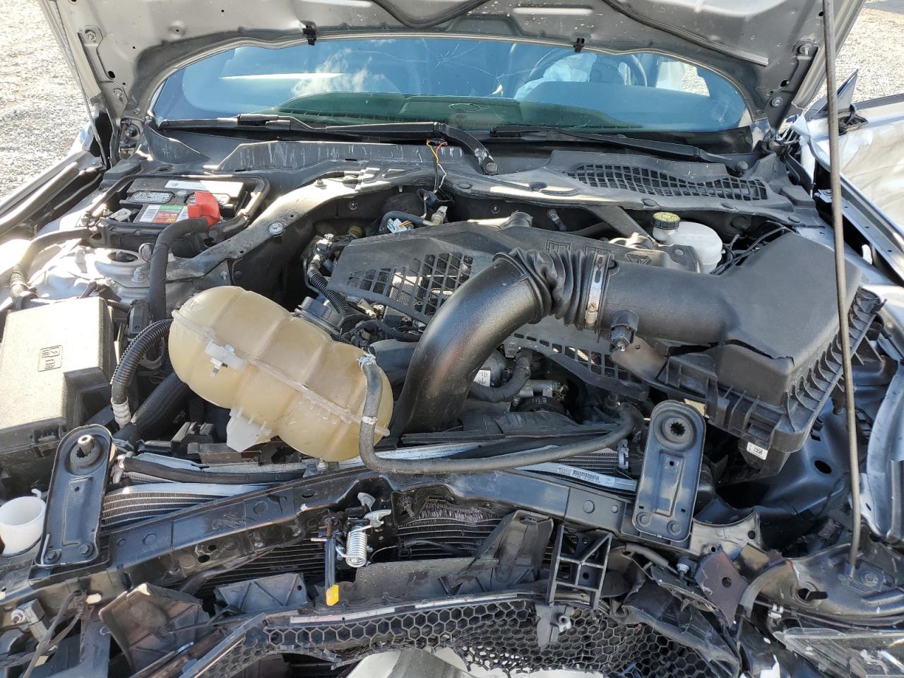 2021 Ford Mustang VIN: 1FATP8UH5M5116168 Lot: 89514405