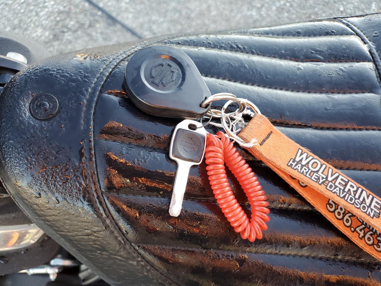 2020 Harley-Davidson Fxbb VIN: 1HD1YJJ11LB066008 Lot: 85585055