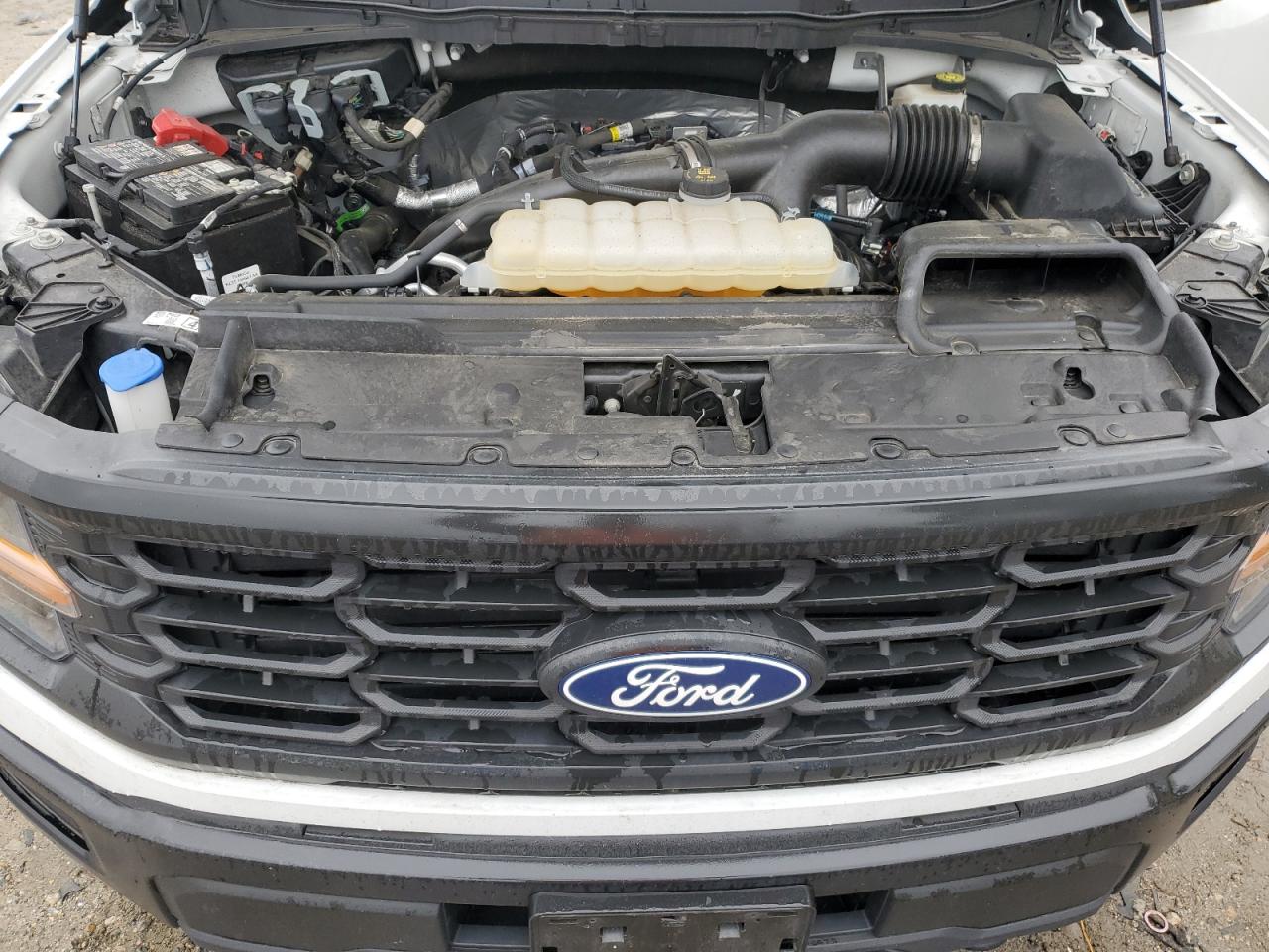 2024 Ford F150 Xl VIN: 1FTMF1LP8RKE69014 Lot: 86629345