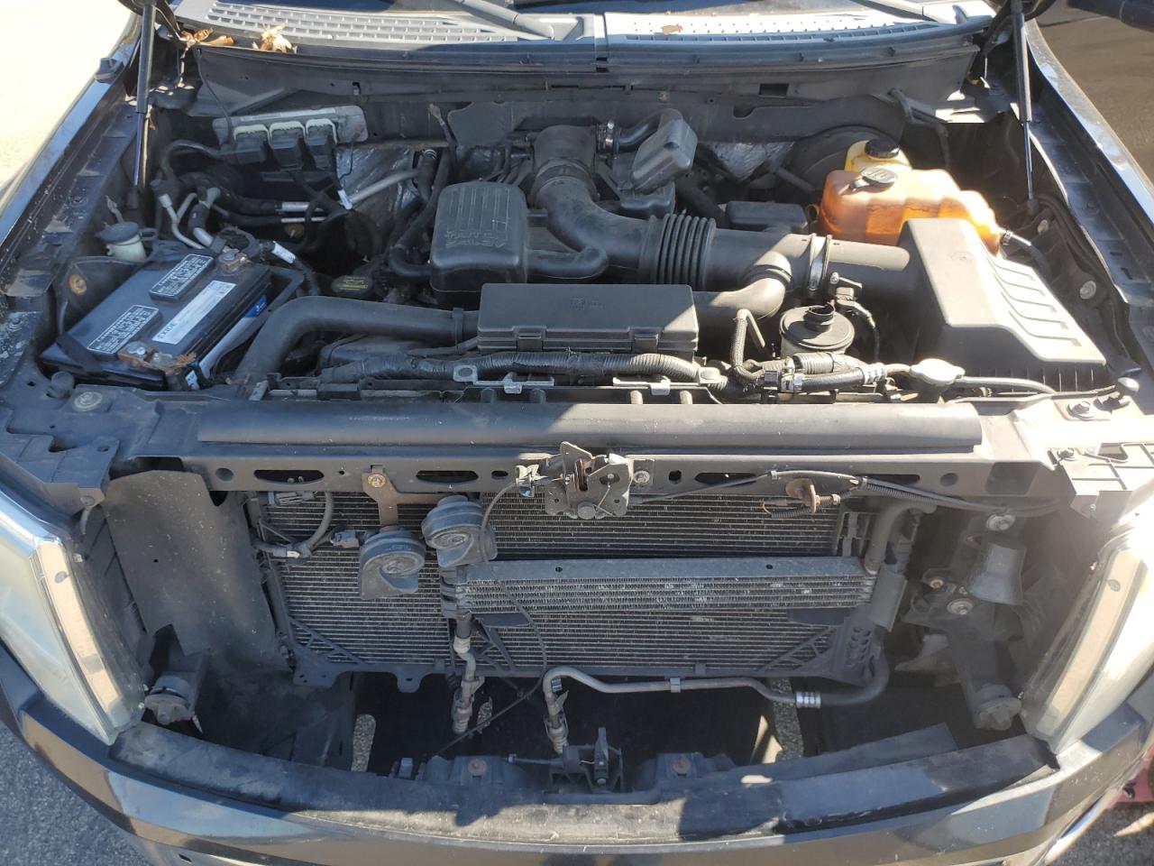 2009 Ford F150 Supercrew VIN: 1FTPW14V59FA96923 Lot: 86214445