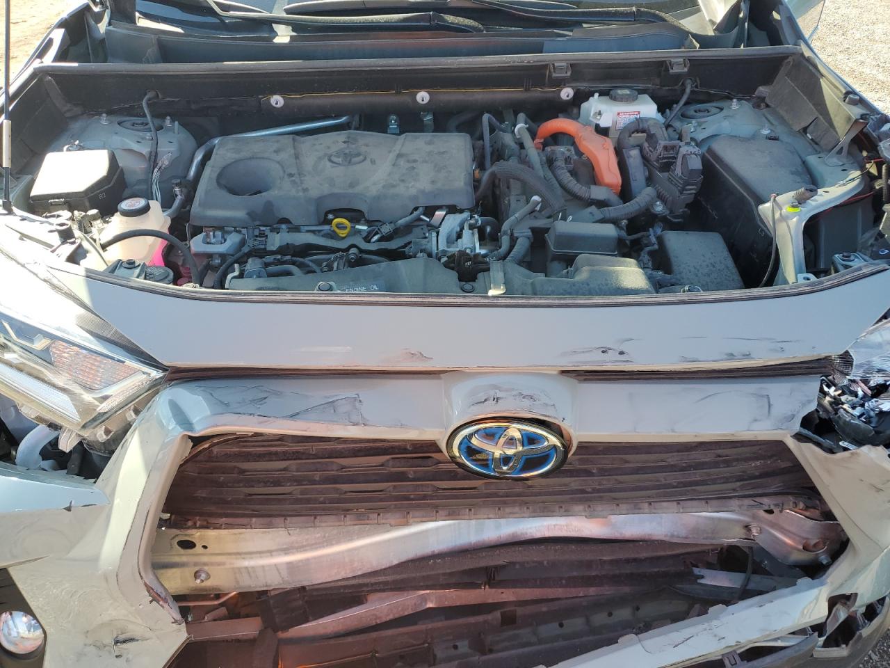 2021 Toyota Rav4 Xle VIN: JTMRWRFV8MD124321 Lot: 85703525