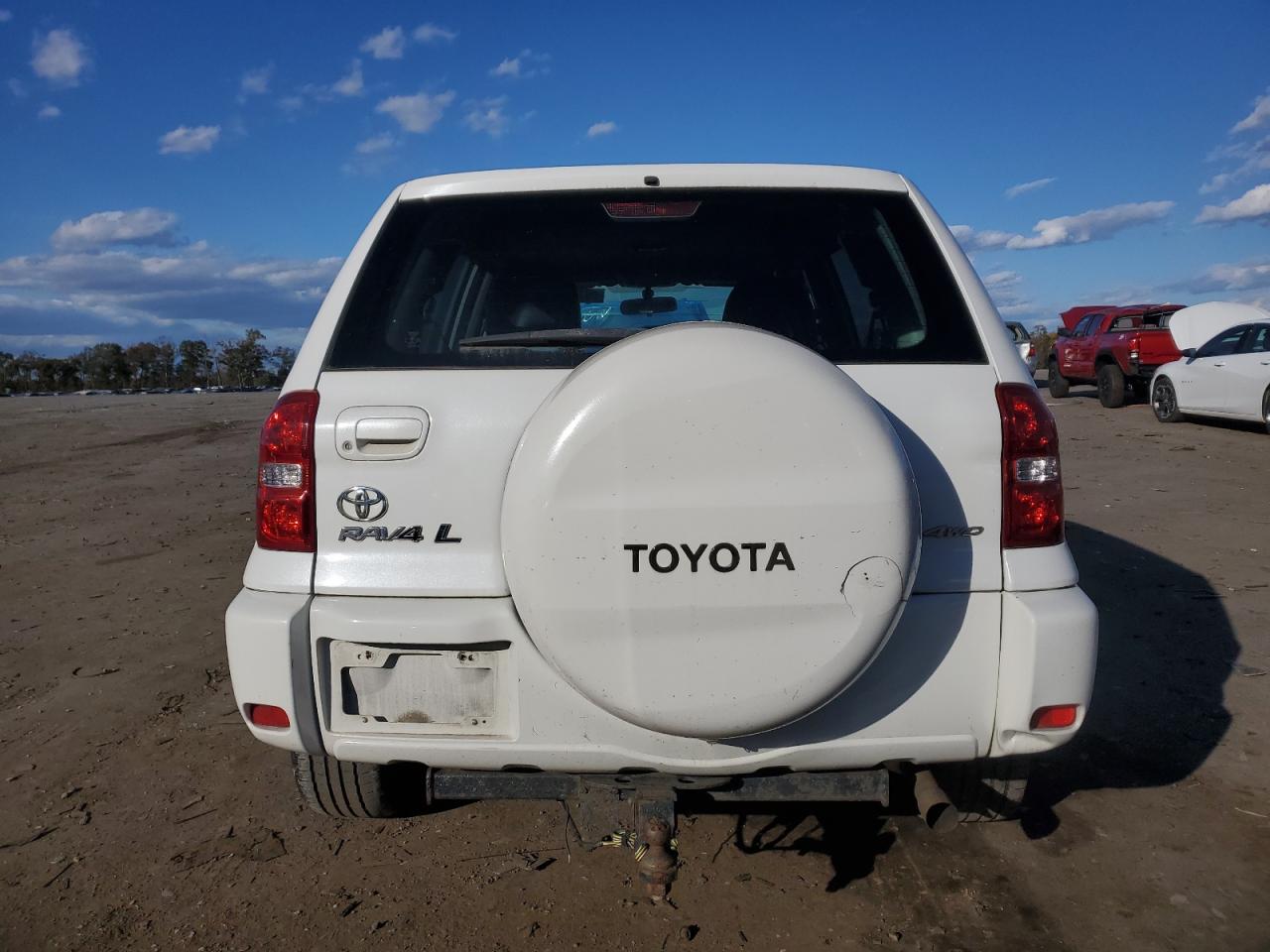 2004 Toyota Rav4 VIN: JTEHD20V340023644 Lot: 89793765