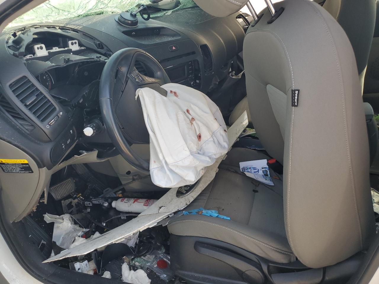 2015 Kia Forte Ex VIN: KNAFX5A80F5319544 Lot: 81996165