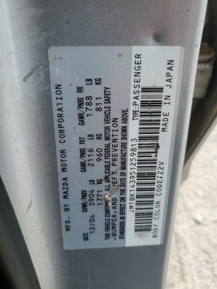 2005 Mazda 3 Hatchback VIN: JM1BK143951259813 Lot: 86979695