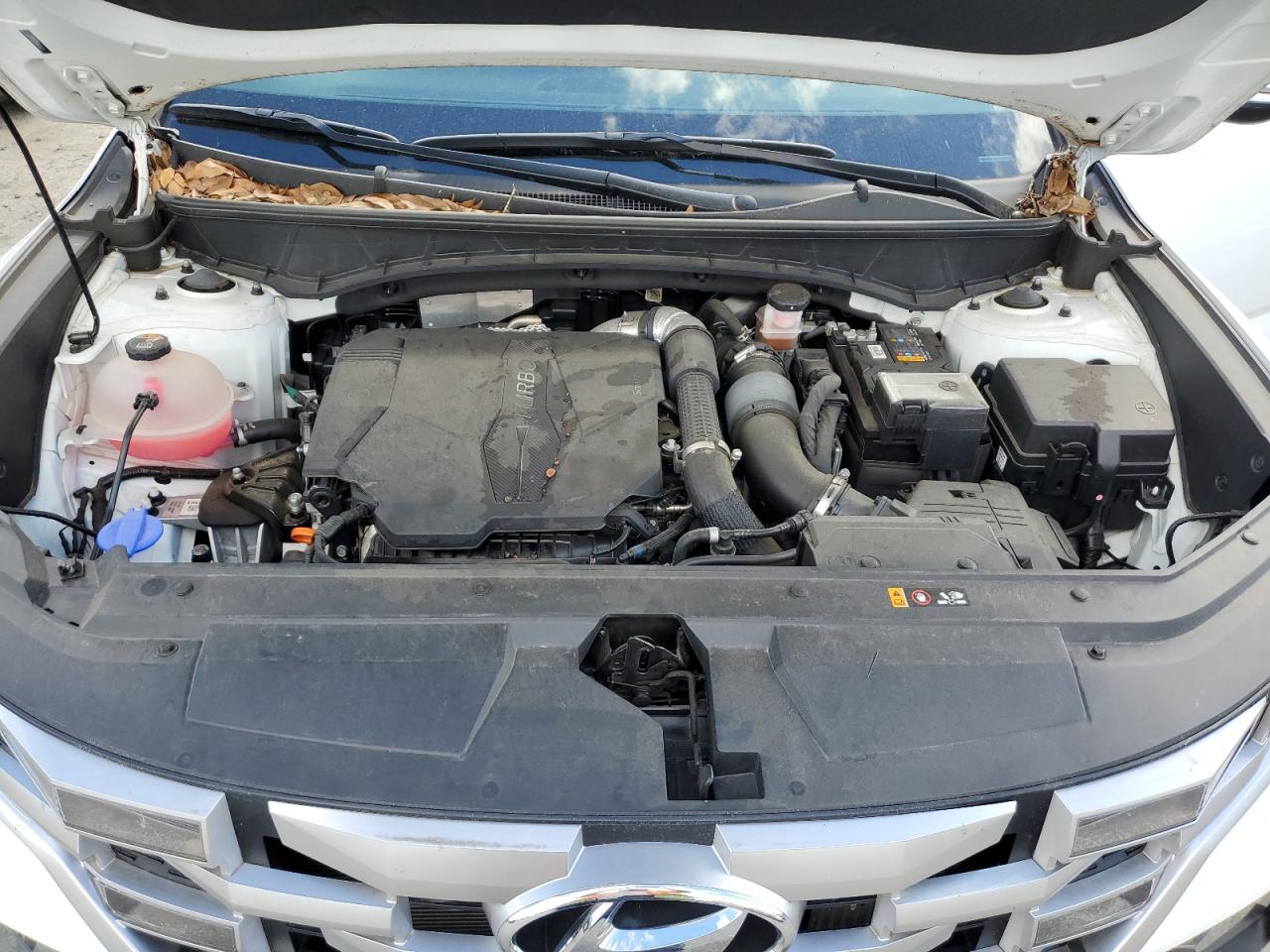 2022 Hyundai Santa Cruz Sel Premium VIN: 5NTJDDAF5NH036197 Lot: 90550195