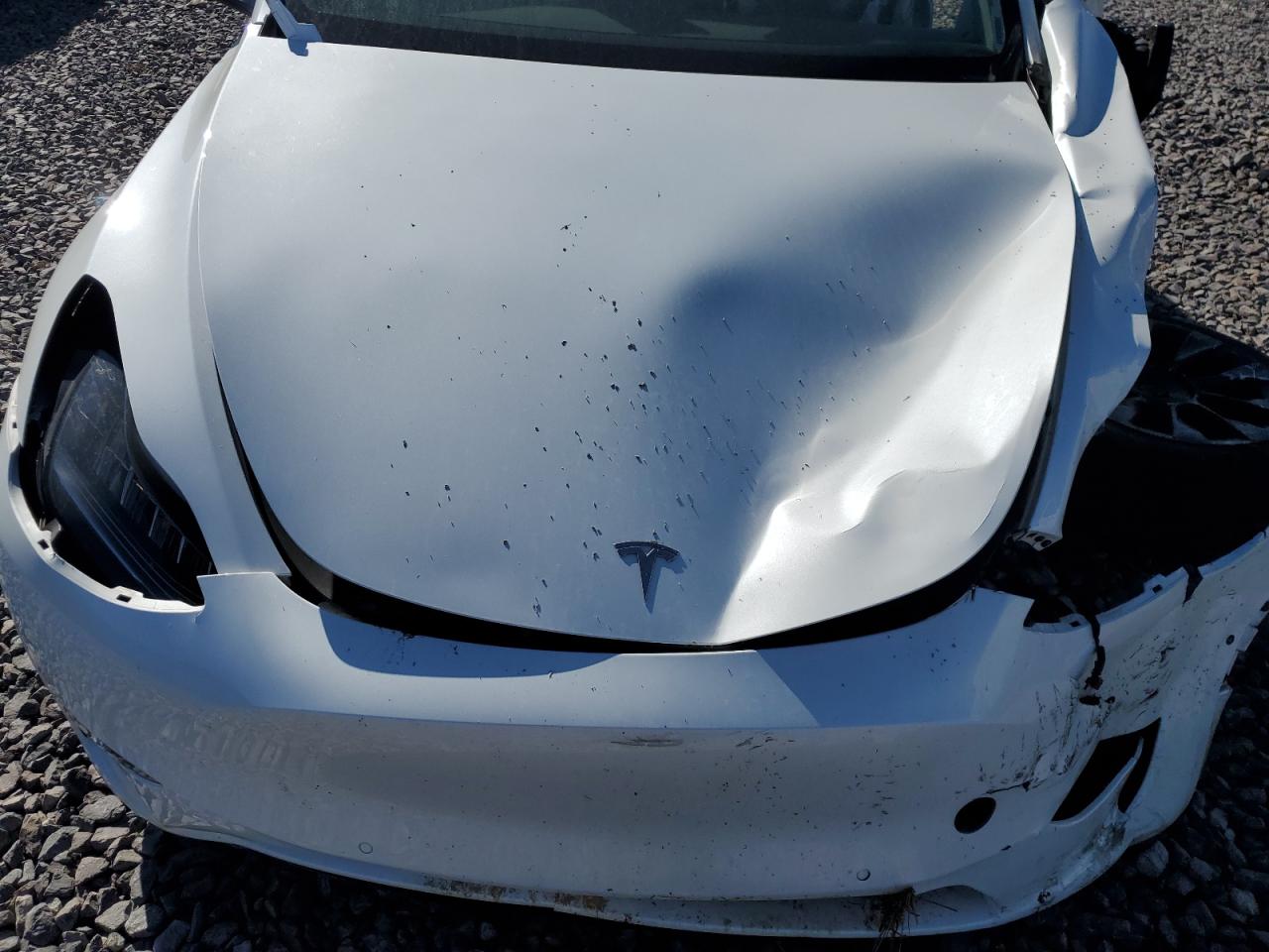 2021 Tesla Model Y VIN: 5YJYGDEE0MF119622 Lot: 82309095