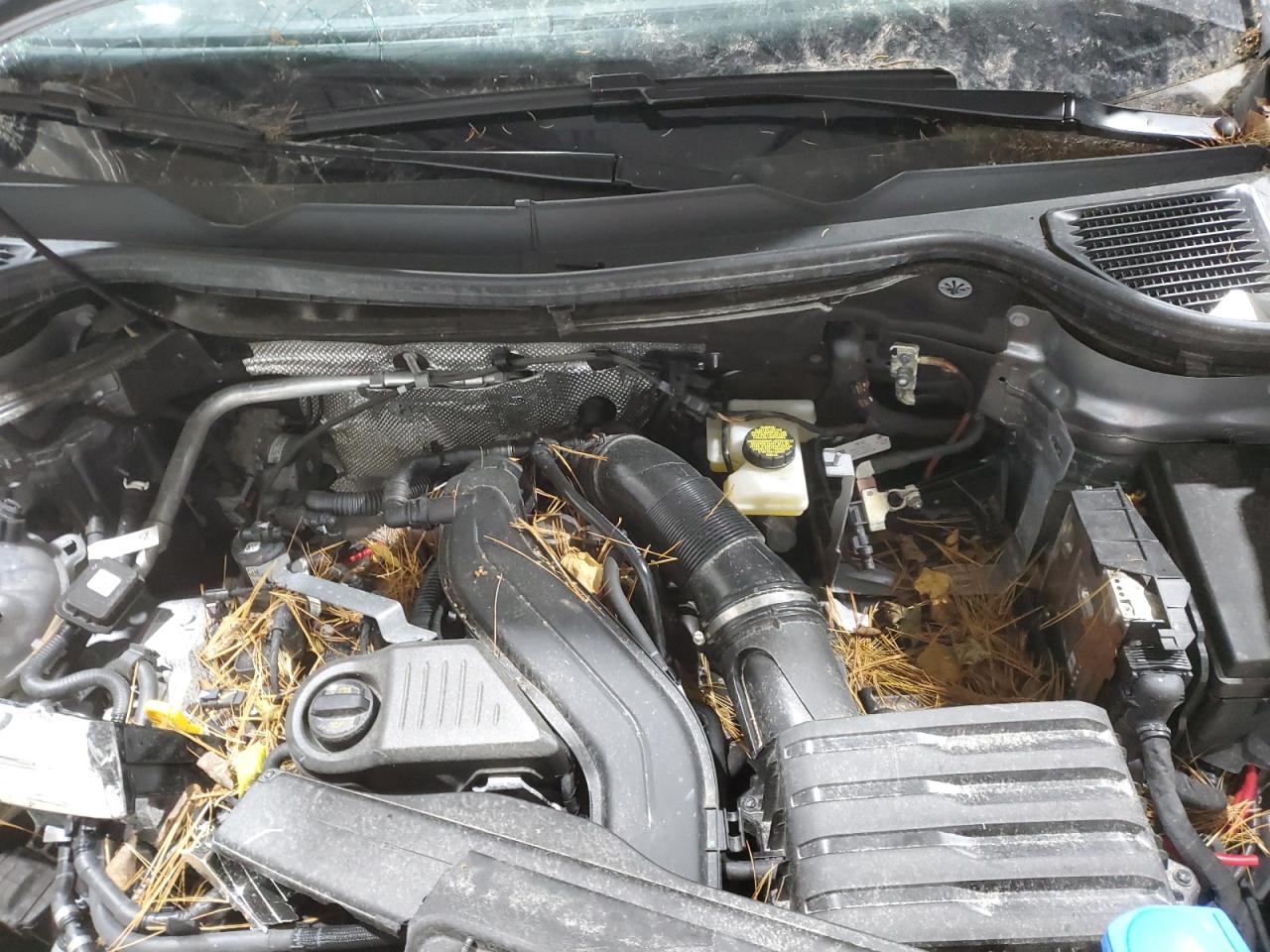 2024 Volkswagen Taos Se VIN: 3VVVX7B29RM117032 Lot: 85489245