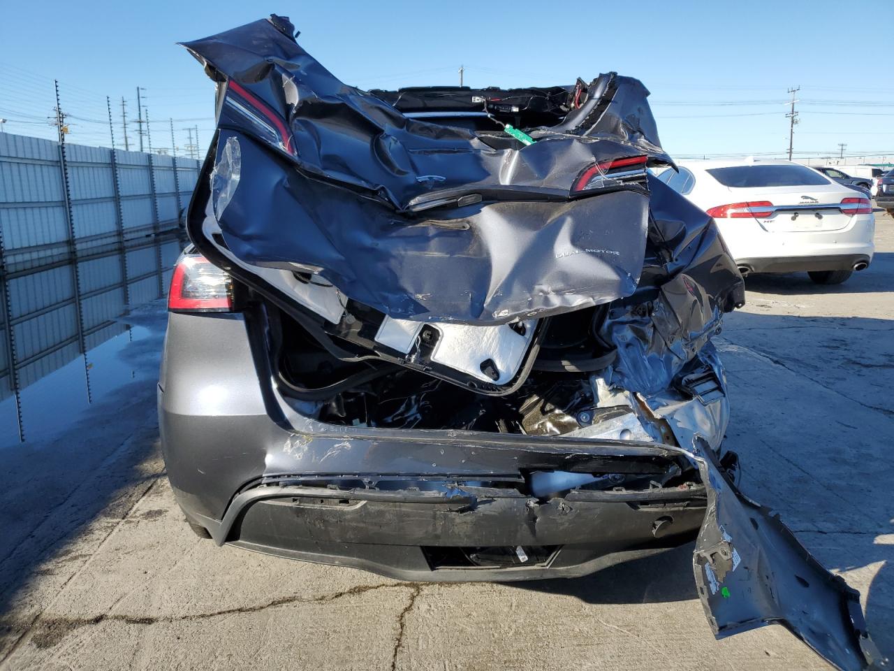 2023 Tesla Model Y VIN: 7SAYGDEE7PF900807 Lot: 86670475