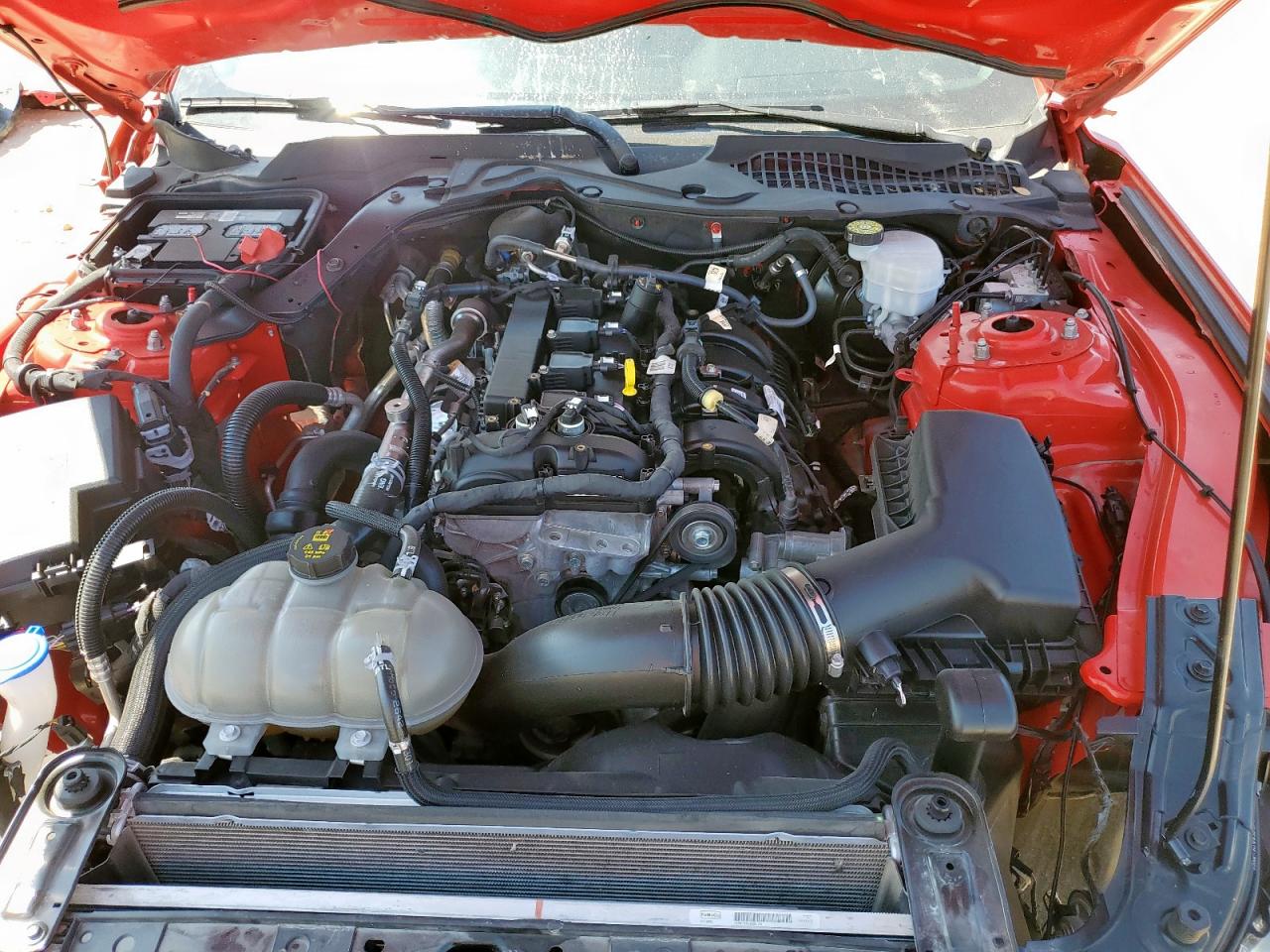 2022 Ford Mustang VIN: 1FA6P8TH4N5145984 Lot: 81847505