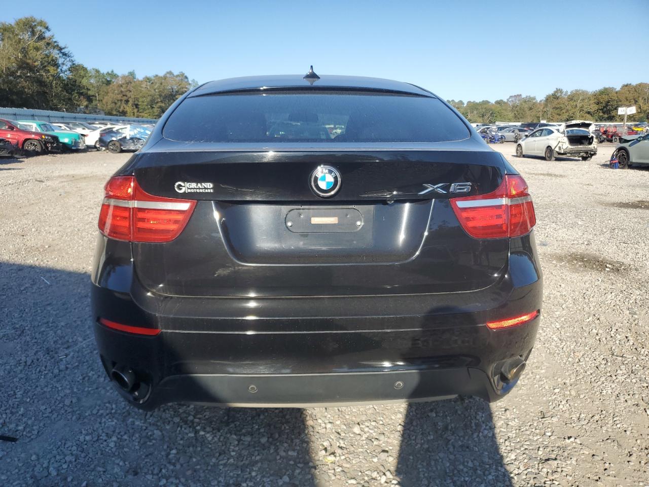 2013 BMW X6 xDrive35I VIN: 5UXFG2C50DL788483 Lot: 89858485