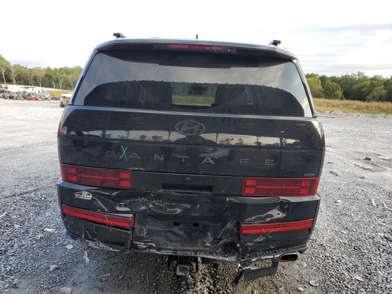 2025 Hyundai Santa Fe Calligraphy VIN: 5NMP5DGL2SH100935 Lot: 85488595