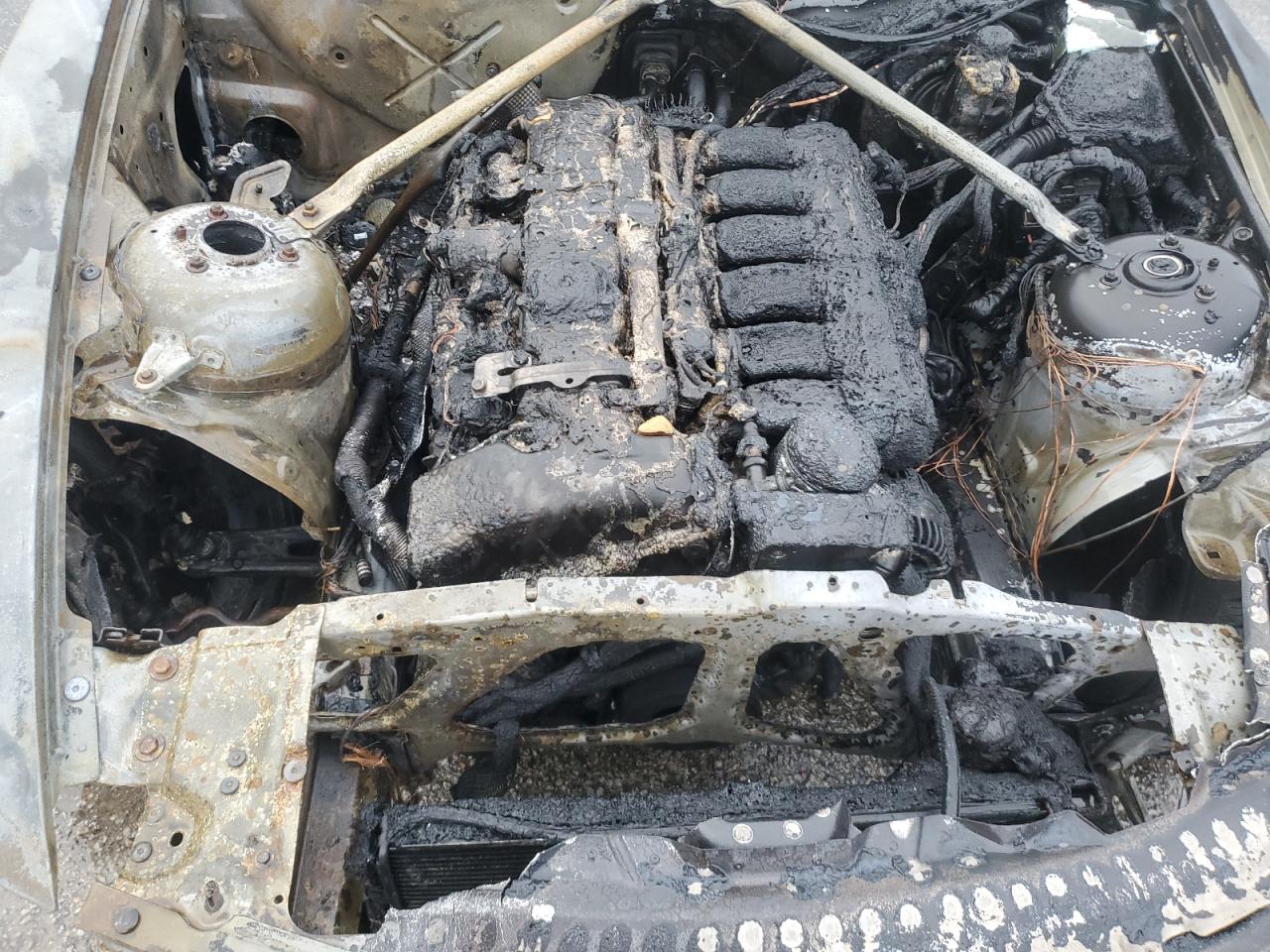 Фото: 4USBU53576LX01041