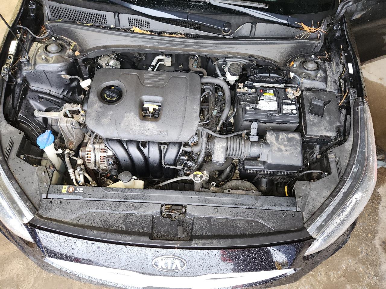 2019 Kia Forte Fe VIN: 3KPF24AD7KE008605 Lot: 90540635