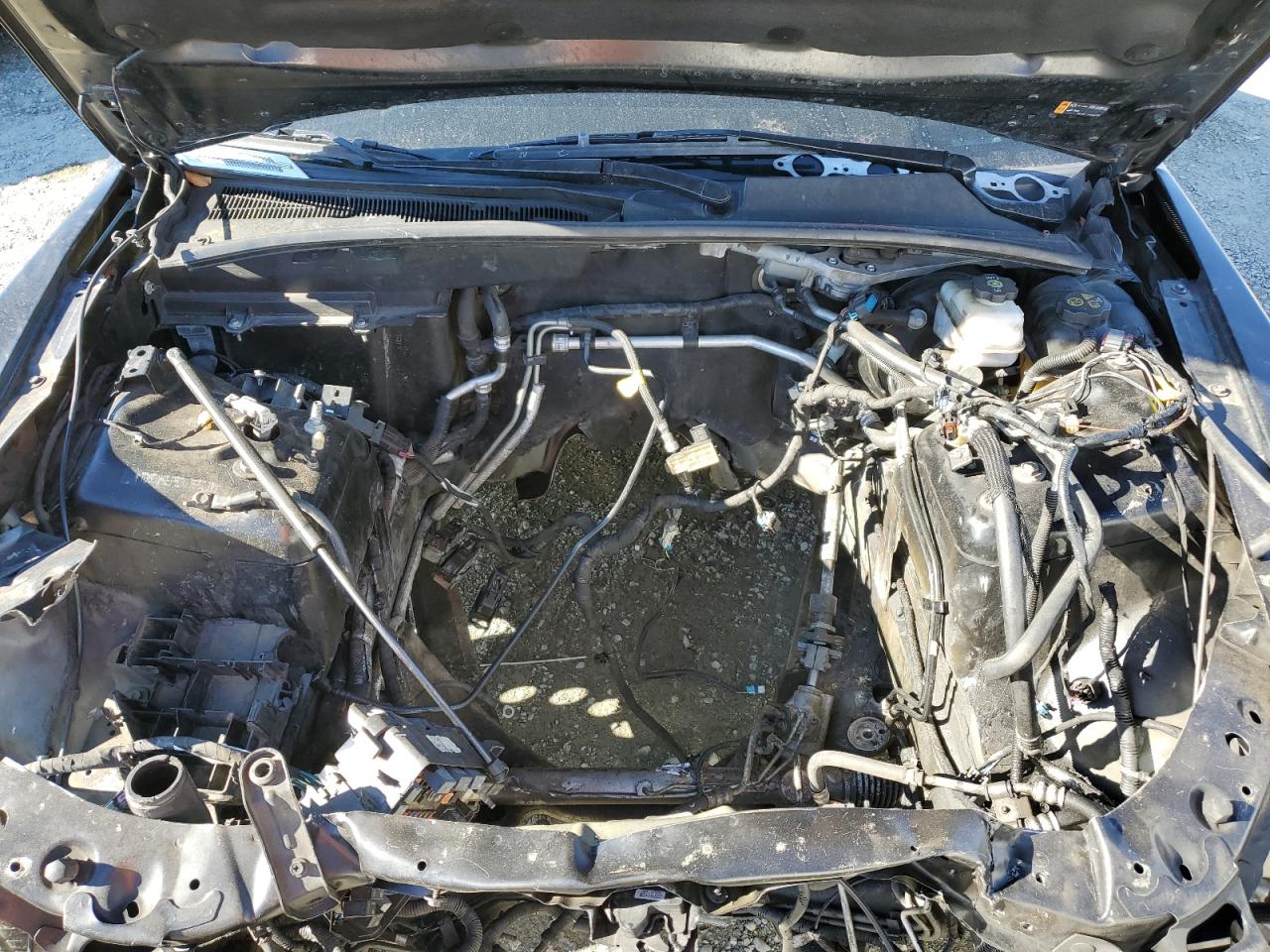 2011 Cadillac Cts-V VIN: 1G6DV5EP5B0155039 Lot: 87111575