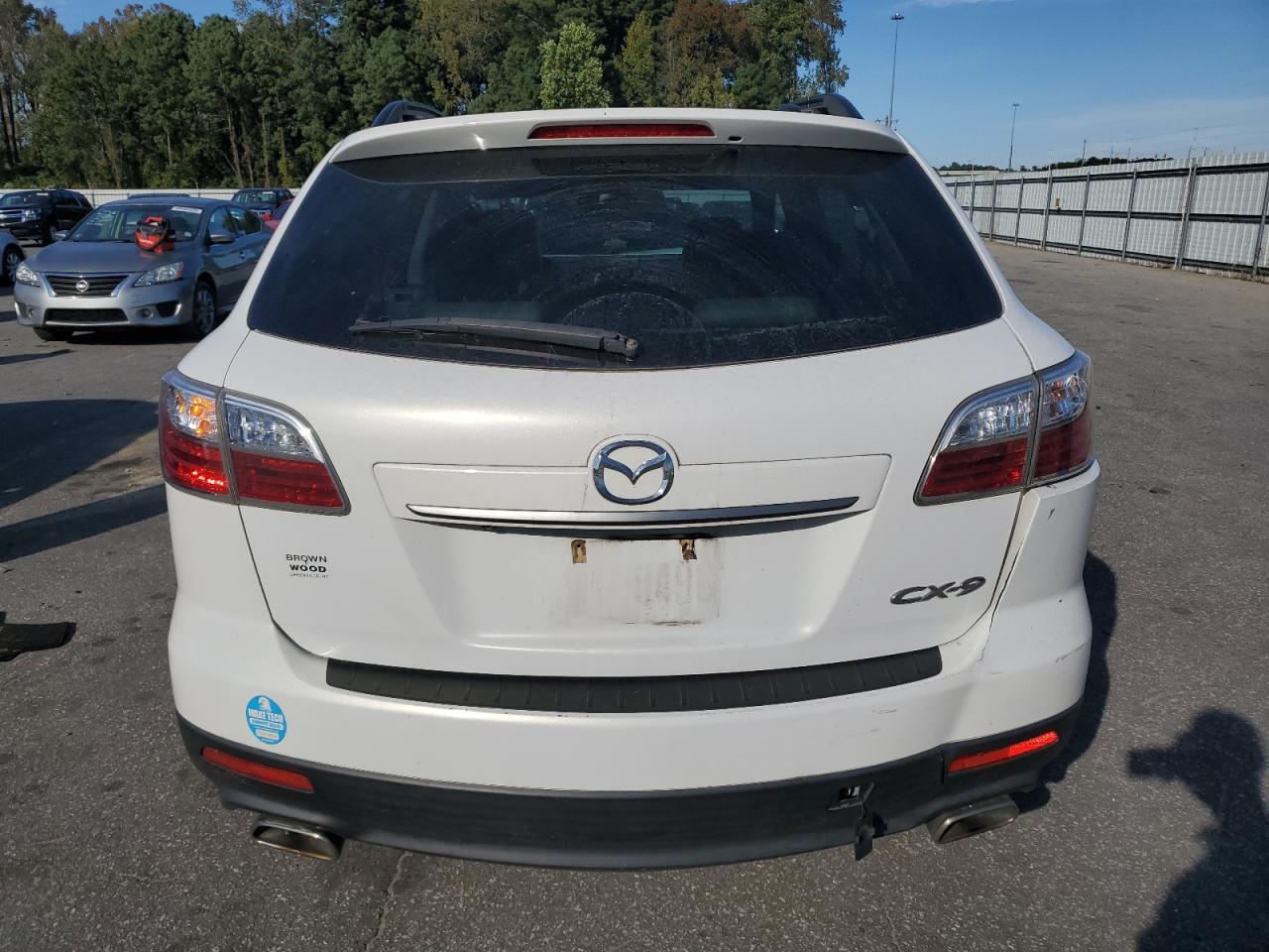 2010 Mazda Cx-9 VIN: JM3TB2MA3A0234745 Lot: 82639815