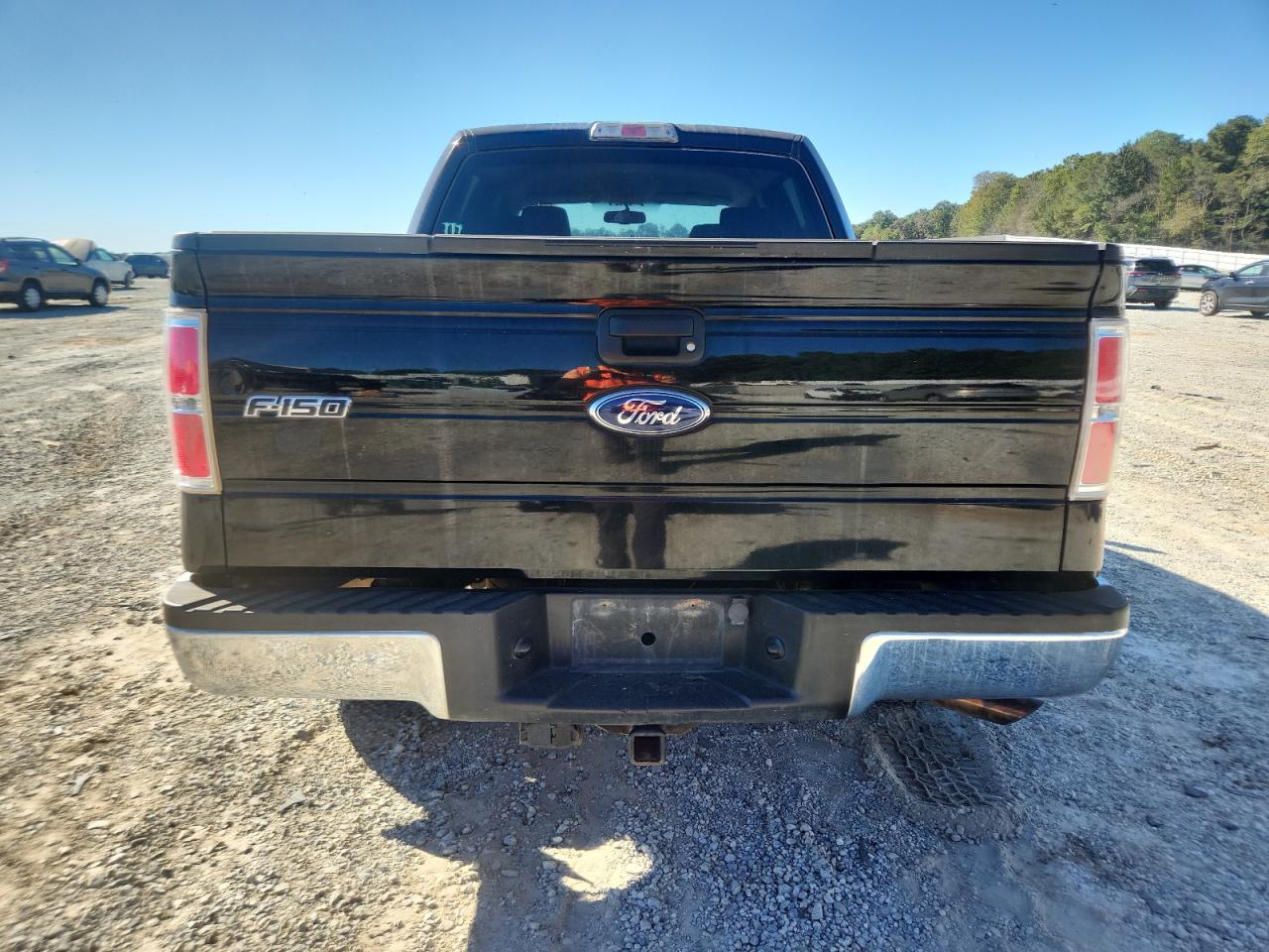 2009 Ford F150 Supercrew VIN: 1FTPW14V09FA67667 Lot: 86486395