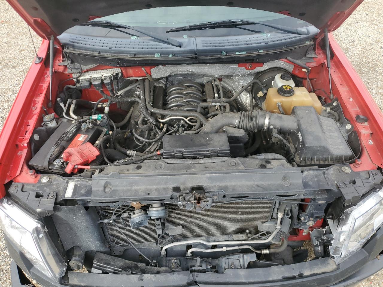 2013 Ford F150 VIN: 1FTMF1CFXDKD48582 Lot: 81919855