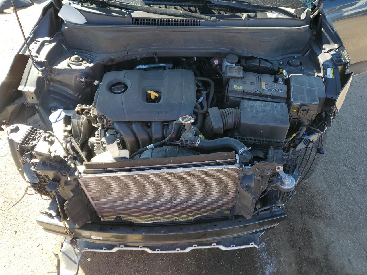 2024 Kia Seltos Ex VIN: KNDERCAA9R7497283 Lot: 85324825