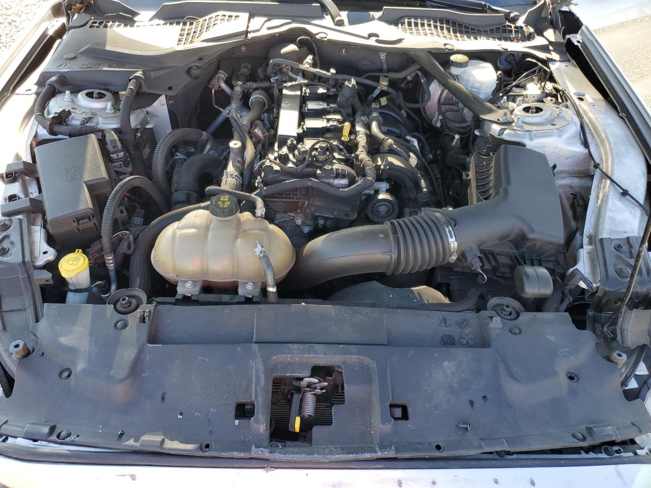 2019 Ford Mustang VIN: 1FATP8UH8K5161506 Lot: 89607205