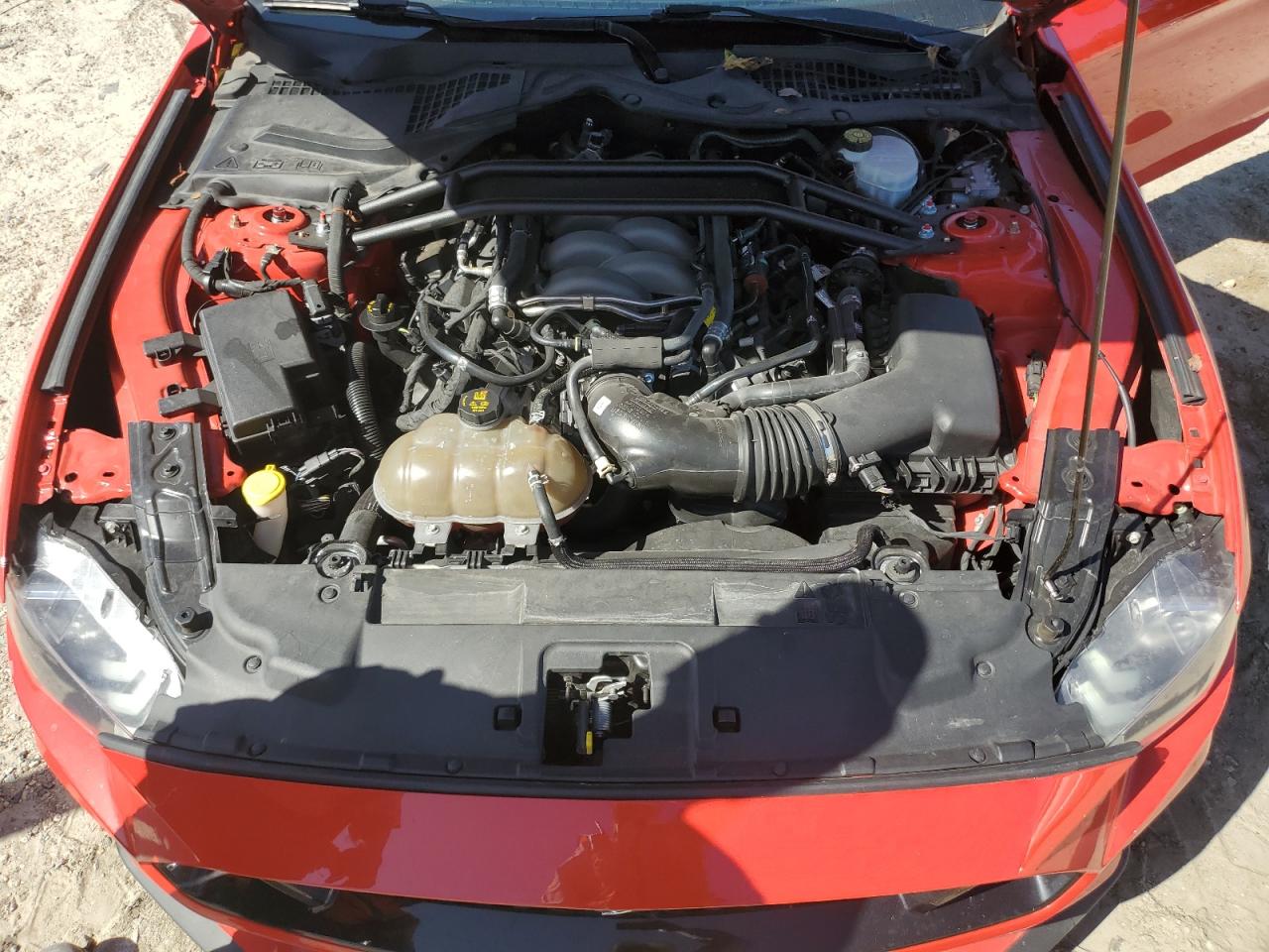 2019 Ford Mustang Gt VIN: 1FA6P8CF3K5118995 Lot: 84606385