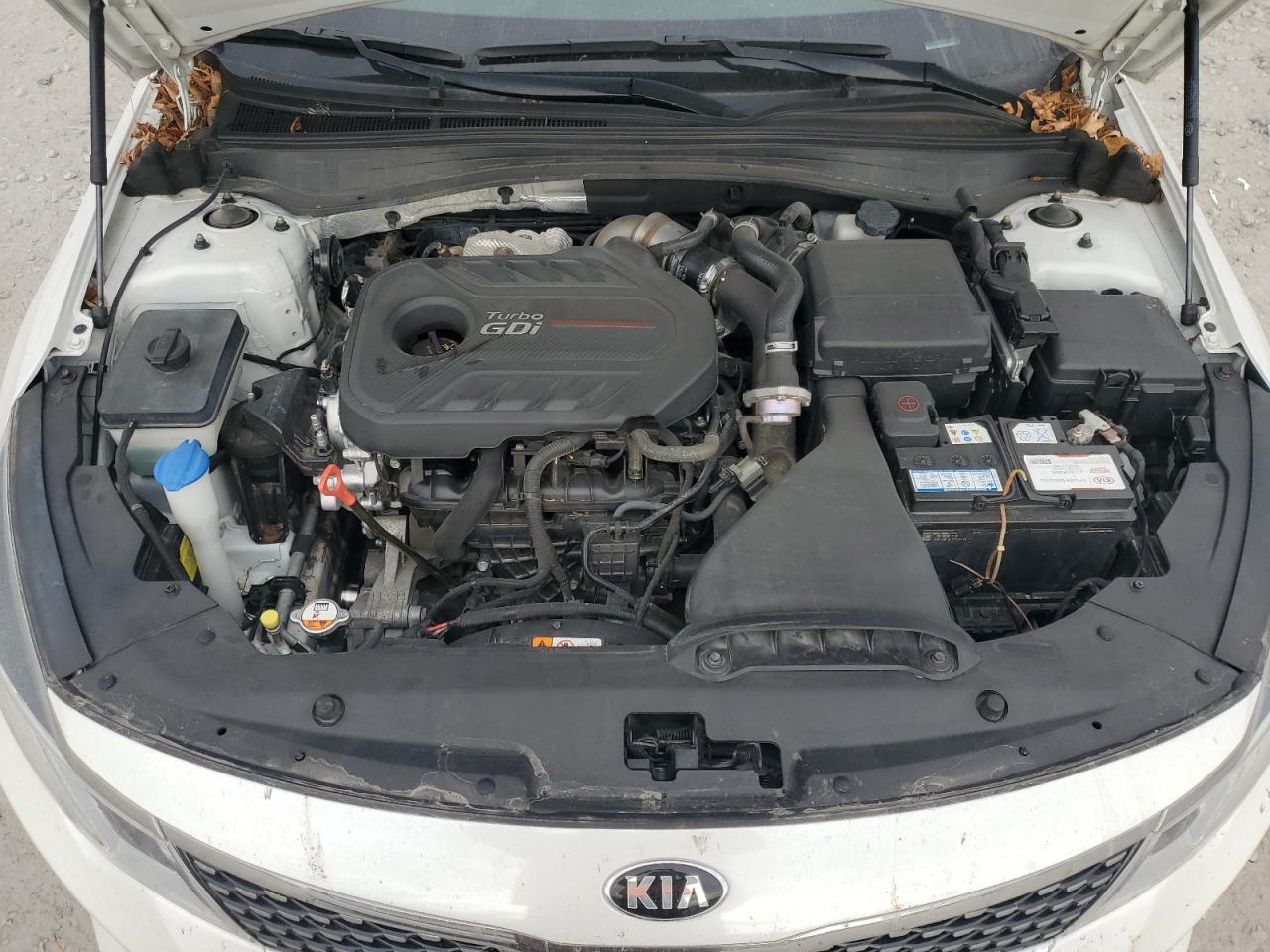 2016 Kia Optima Sxl VIN: 5XXGV4L20GG074547 Lot: 86310445