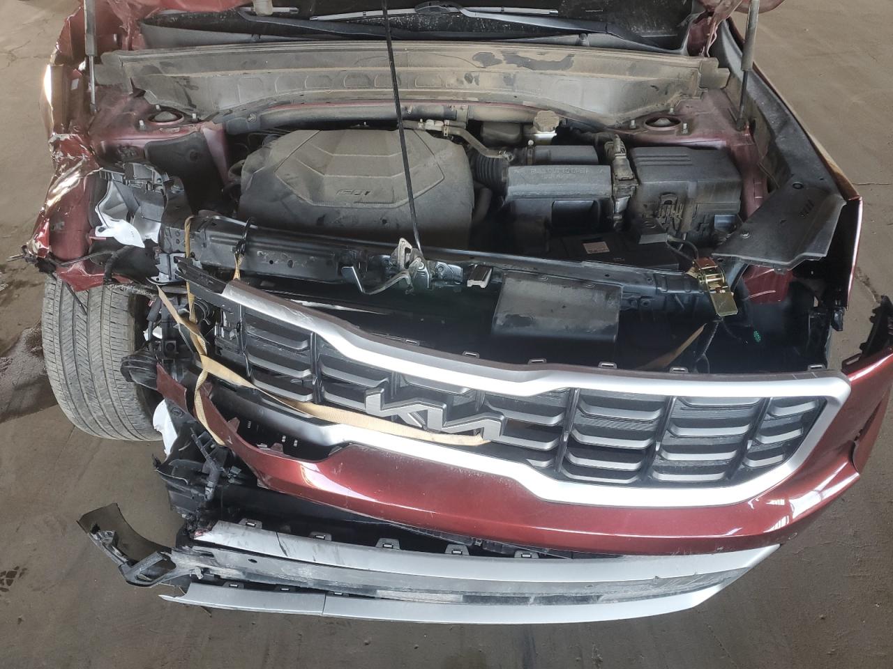 2023 Kia Telluride Sx VIN: 5XYP5DGC2PG387579 Lot: 90340845