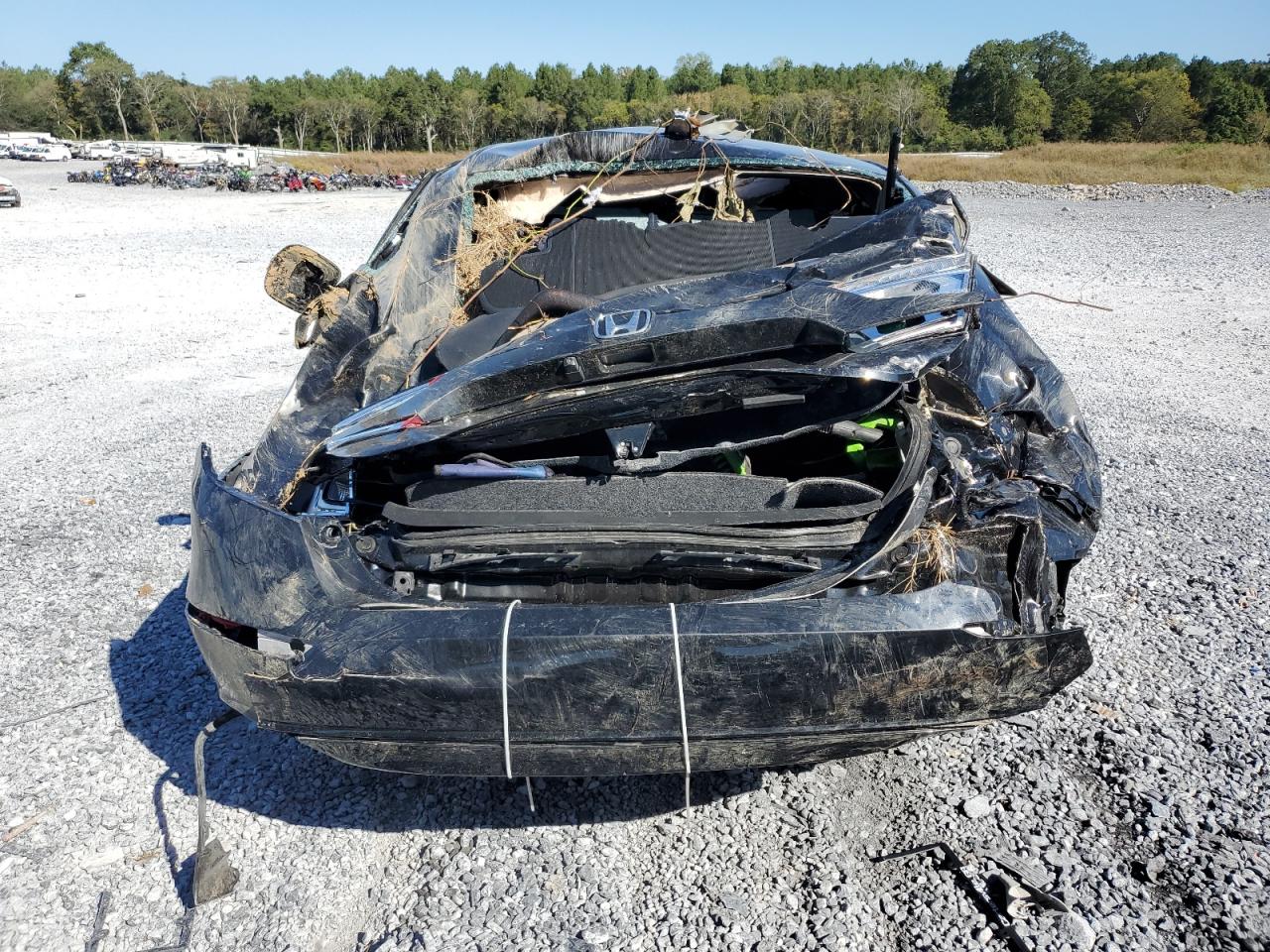 2021 Honda Accord Sport VIN: 1HGCV1F31MA099466 Lot: 82357645