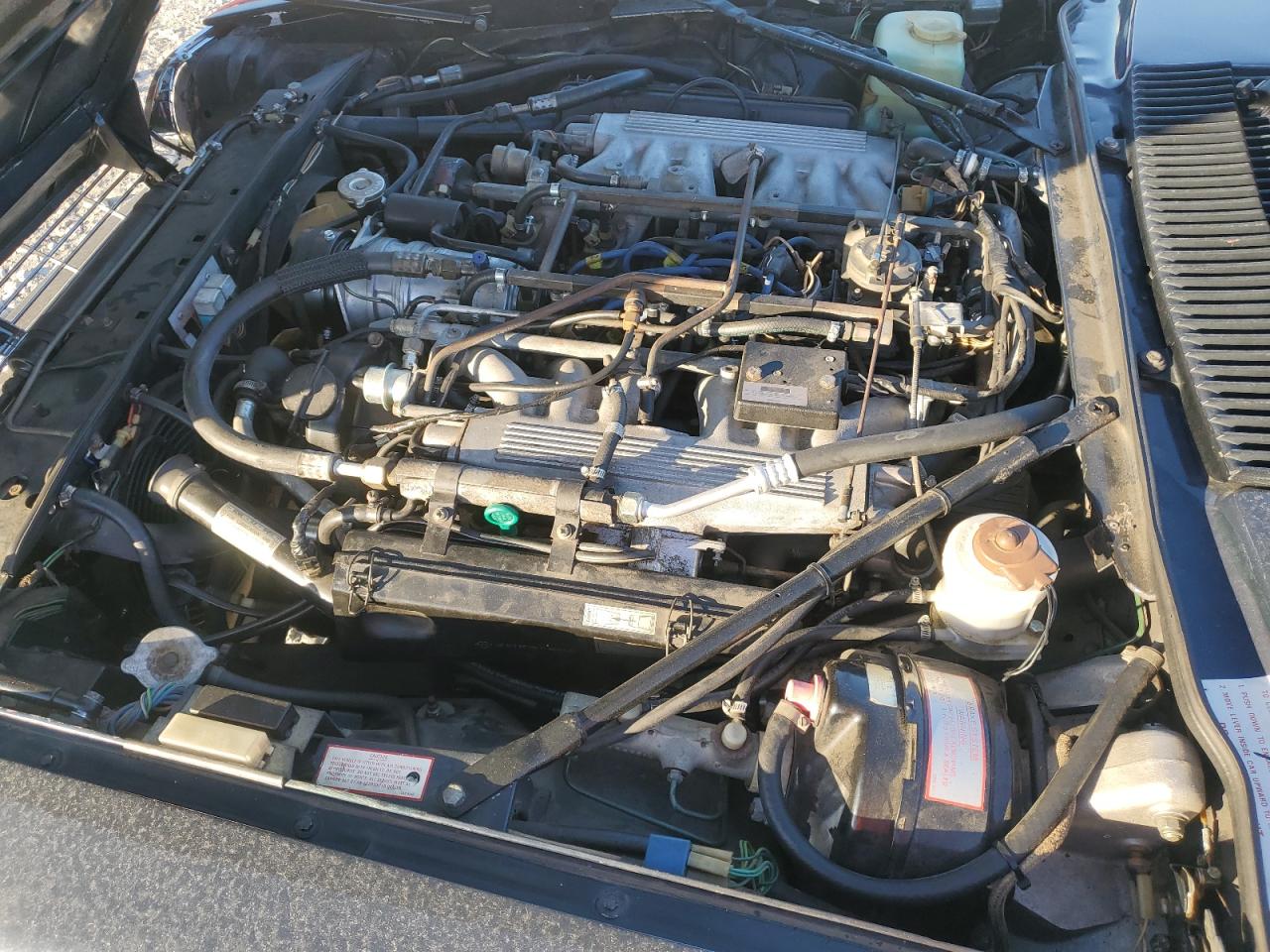 1988 Jaguar Xjs VIN: SAJNA5848JC141973 Lot: 85334485