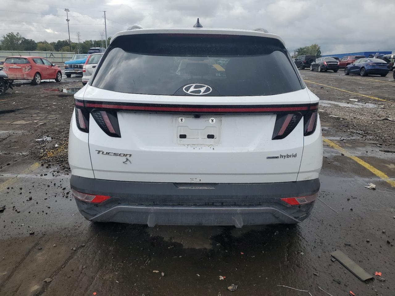 2024 Hyundai Tucson Limited VIN: KM8JECD19RU155755 Lot: 85678235