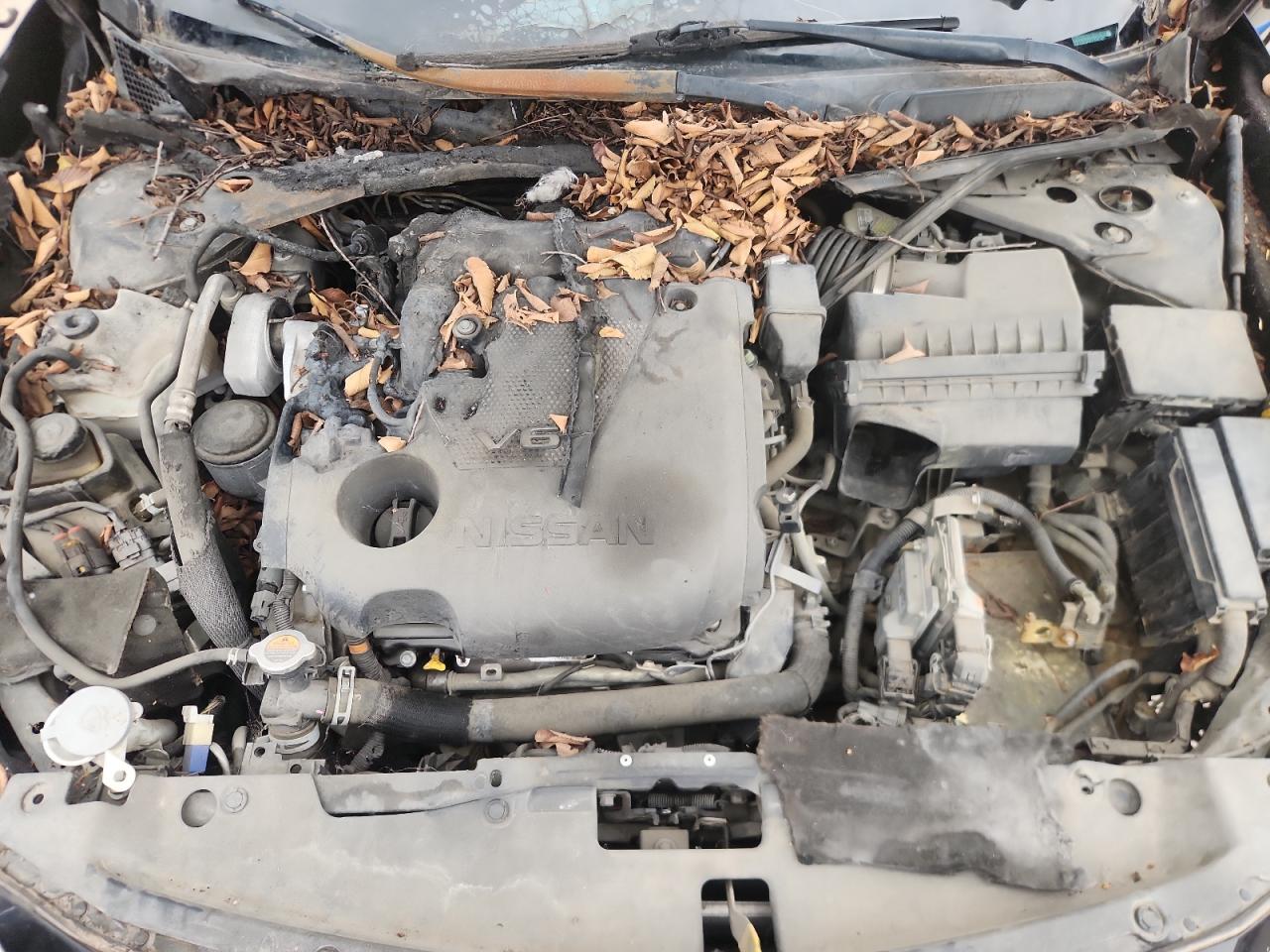 2016 Nissan Maxima 3.5S VIN: 1N4AA6AP4GC406345 Lot: 90299505