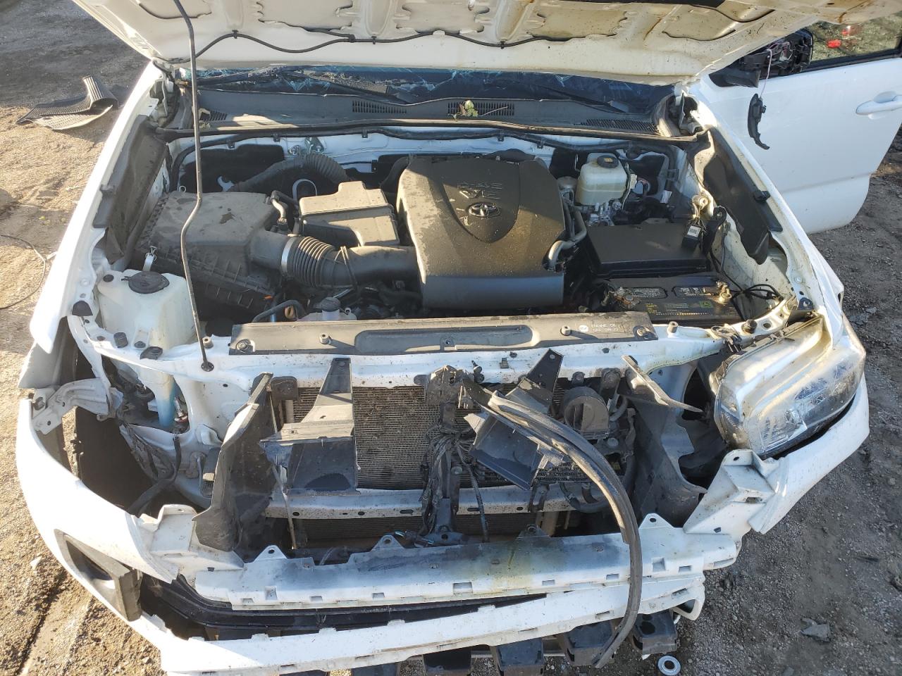 2019 Toyota Tacoma Double Cab VIN: 3TMCZ5AN6KM190462 Lot: 86176525