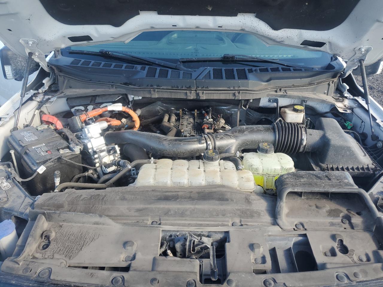 2024 Ford F150 Xlt VIN: 1FTFW3LD5RFA08100 Lot: 85485535