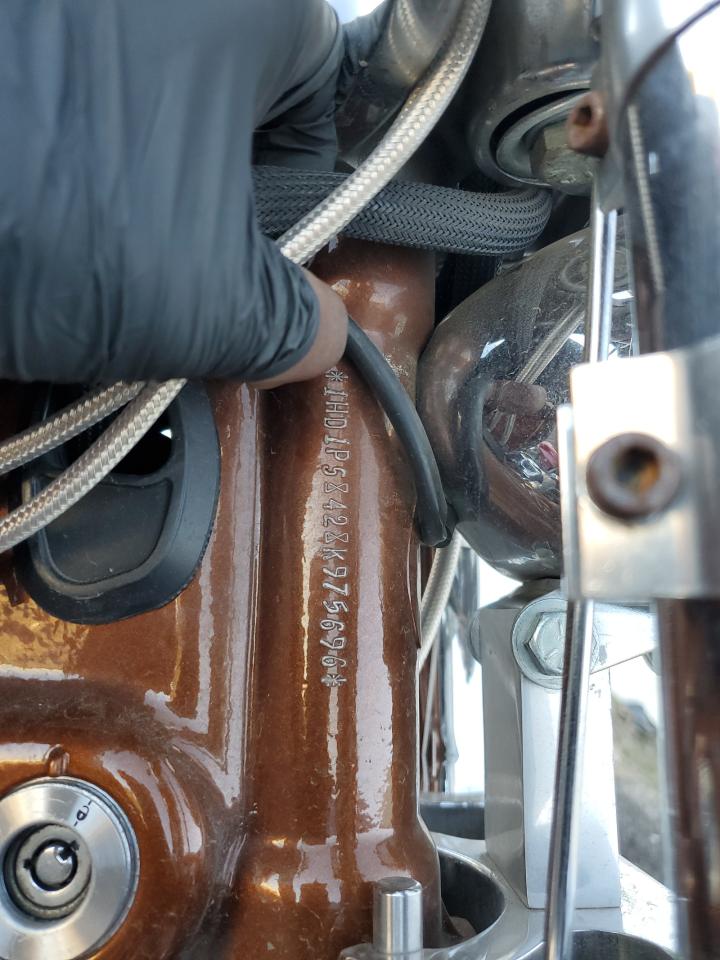 2008 Harley-Davidson Fxdse2 105Th Anniversary Edition VIN: 1HD1PS8428K975696 Lot: 86249405